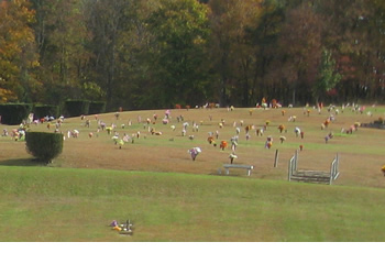 Overall view of cemetery