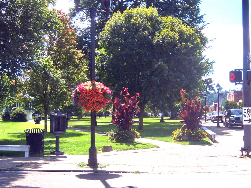 Summer flowers in City Park